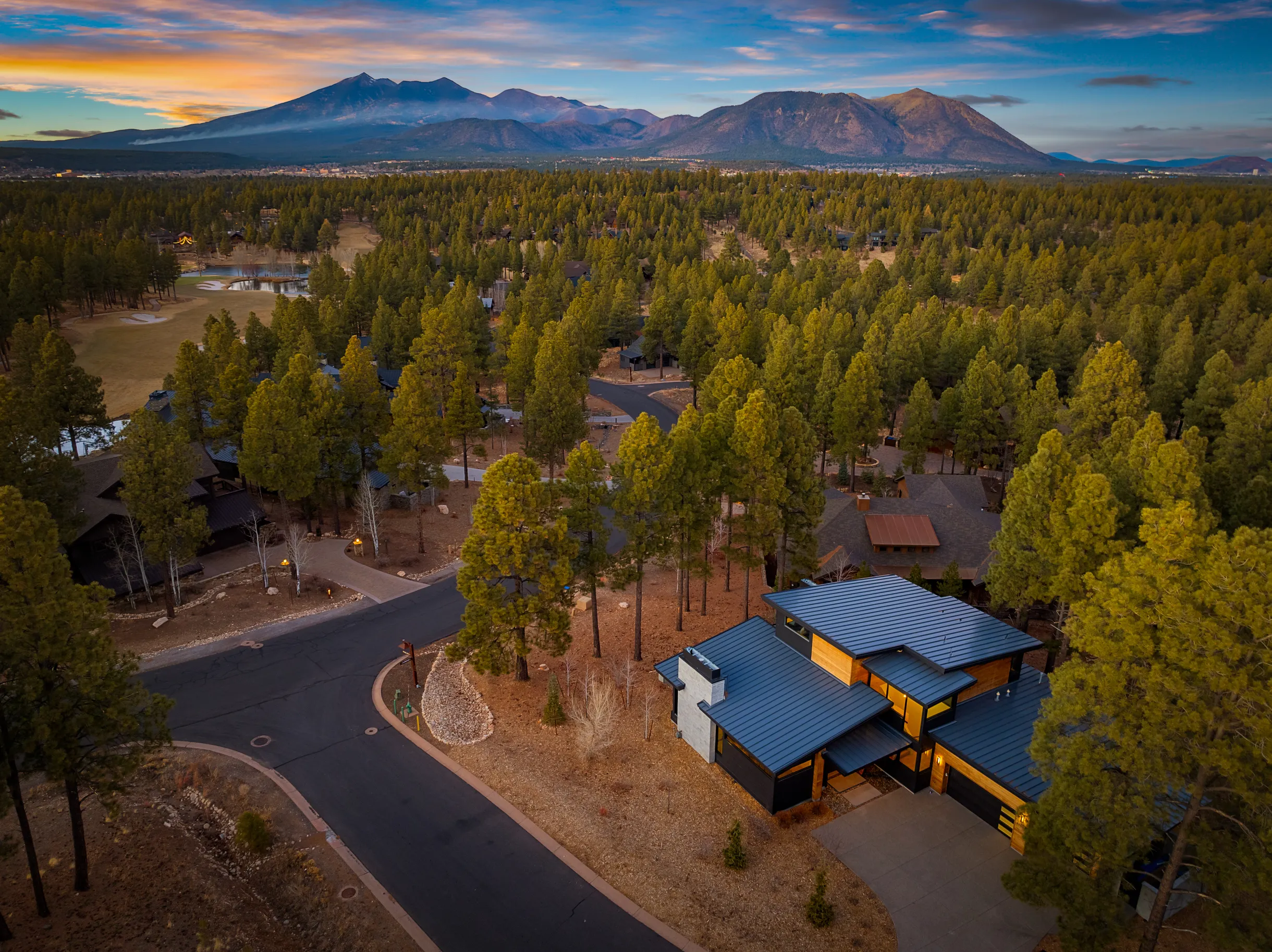 Wander Arizona Pines #51