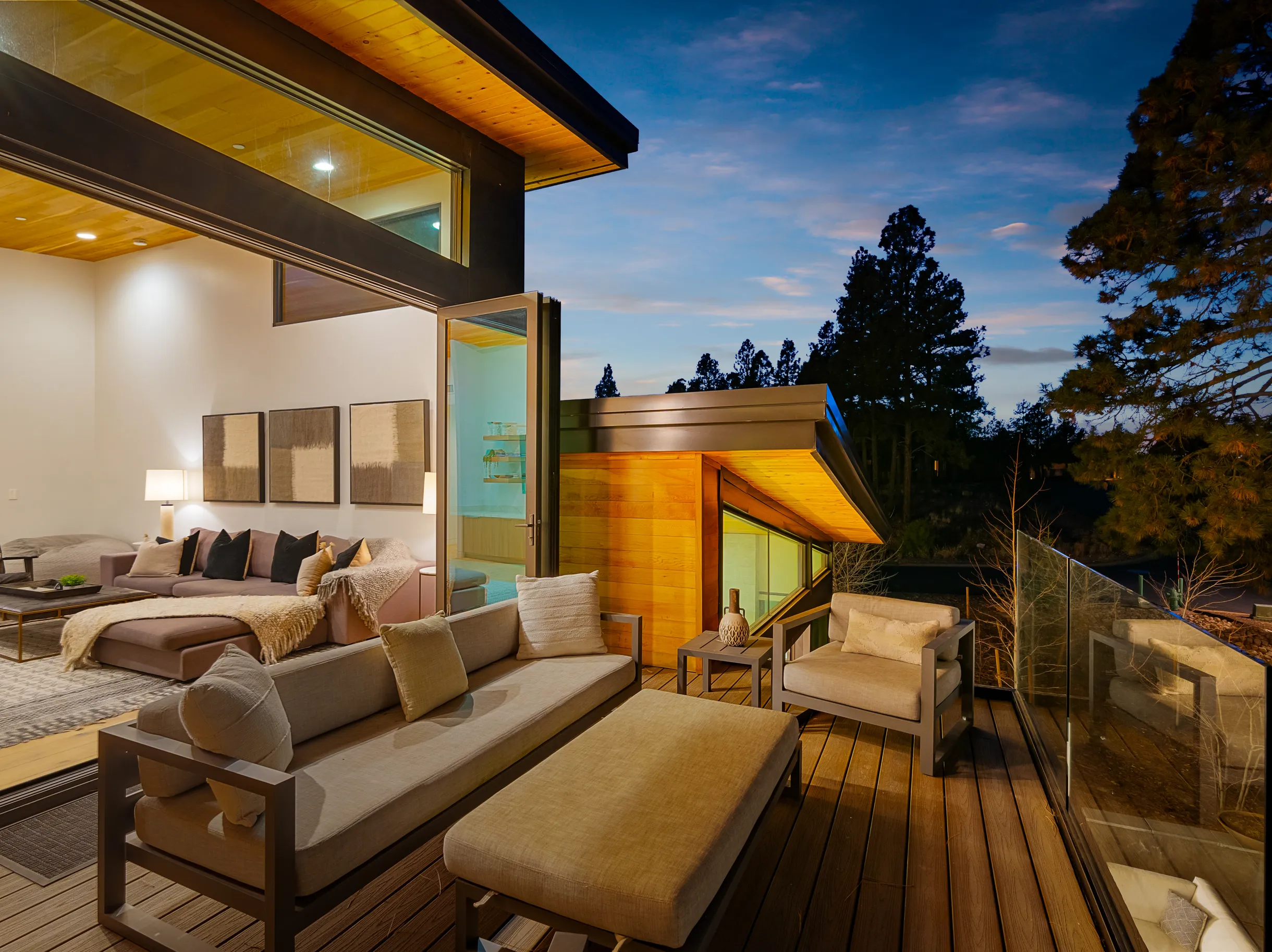 Wander Arizona Pines #21