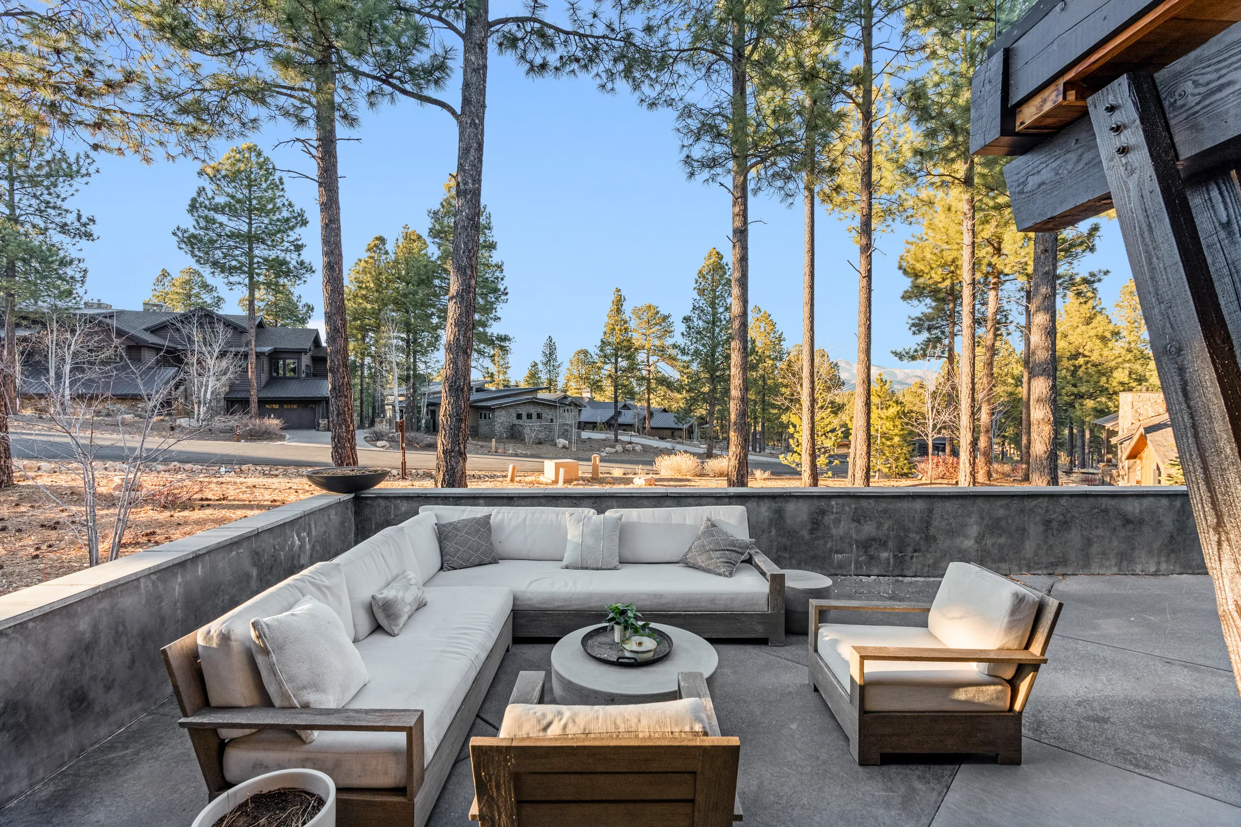 Wander Arizona Pines #91