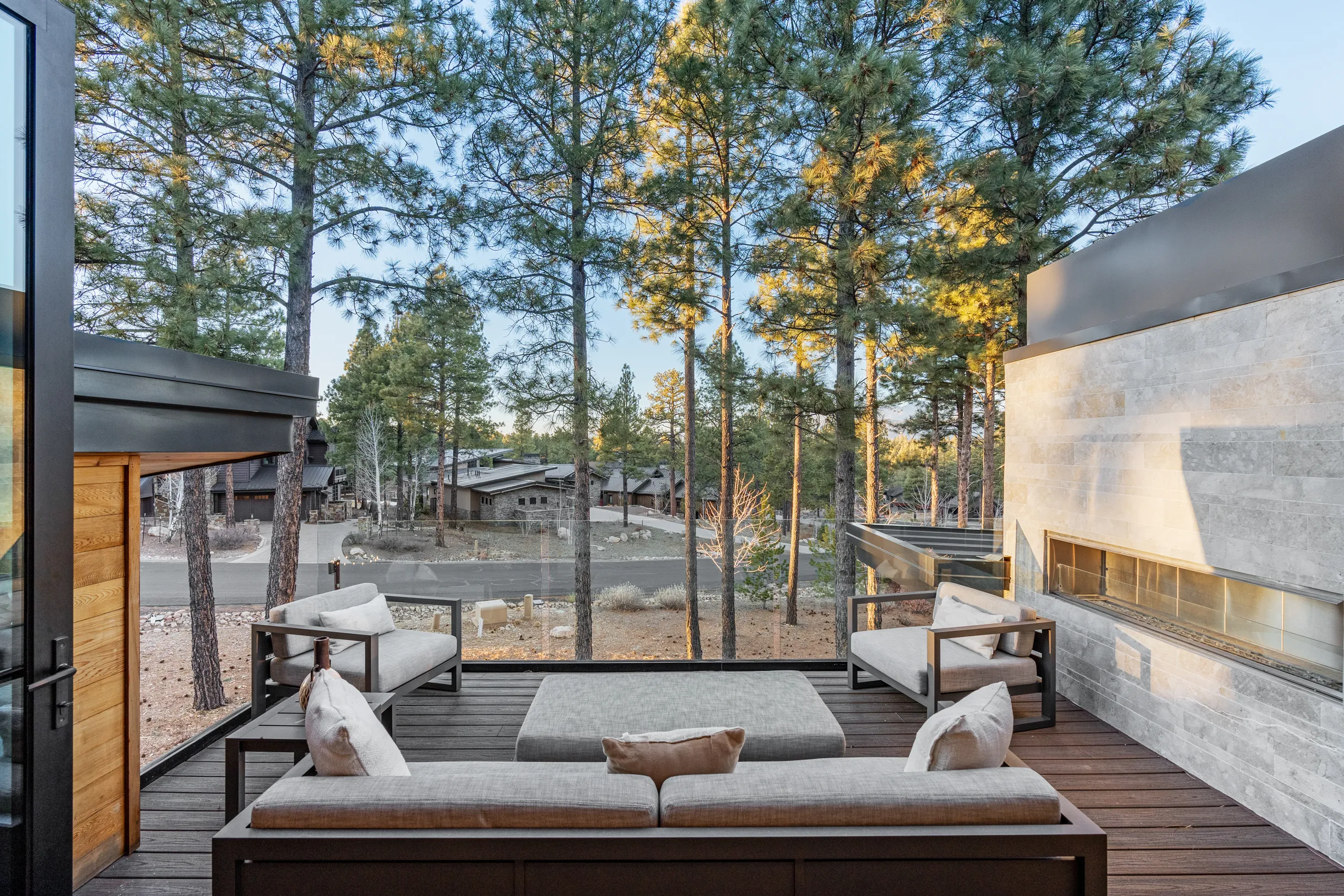 Wander Arizona Pines #37