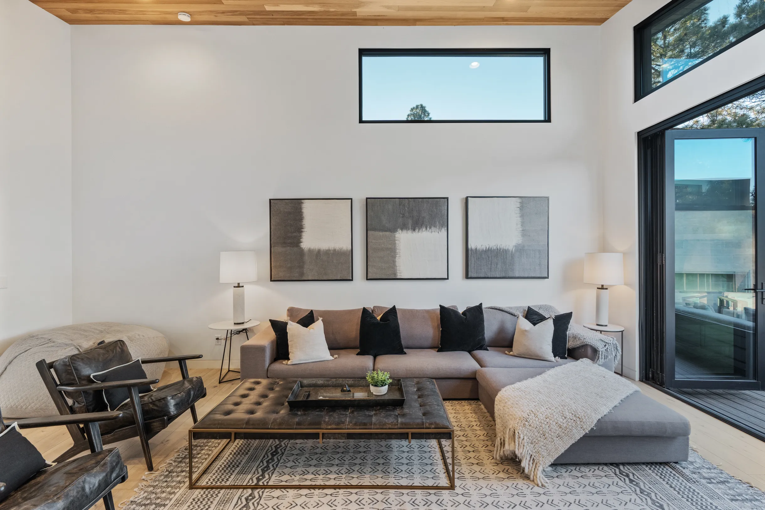 Wander Arizona Pines #22