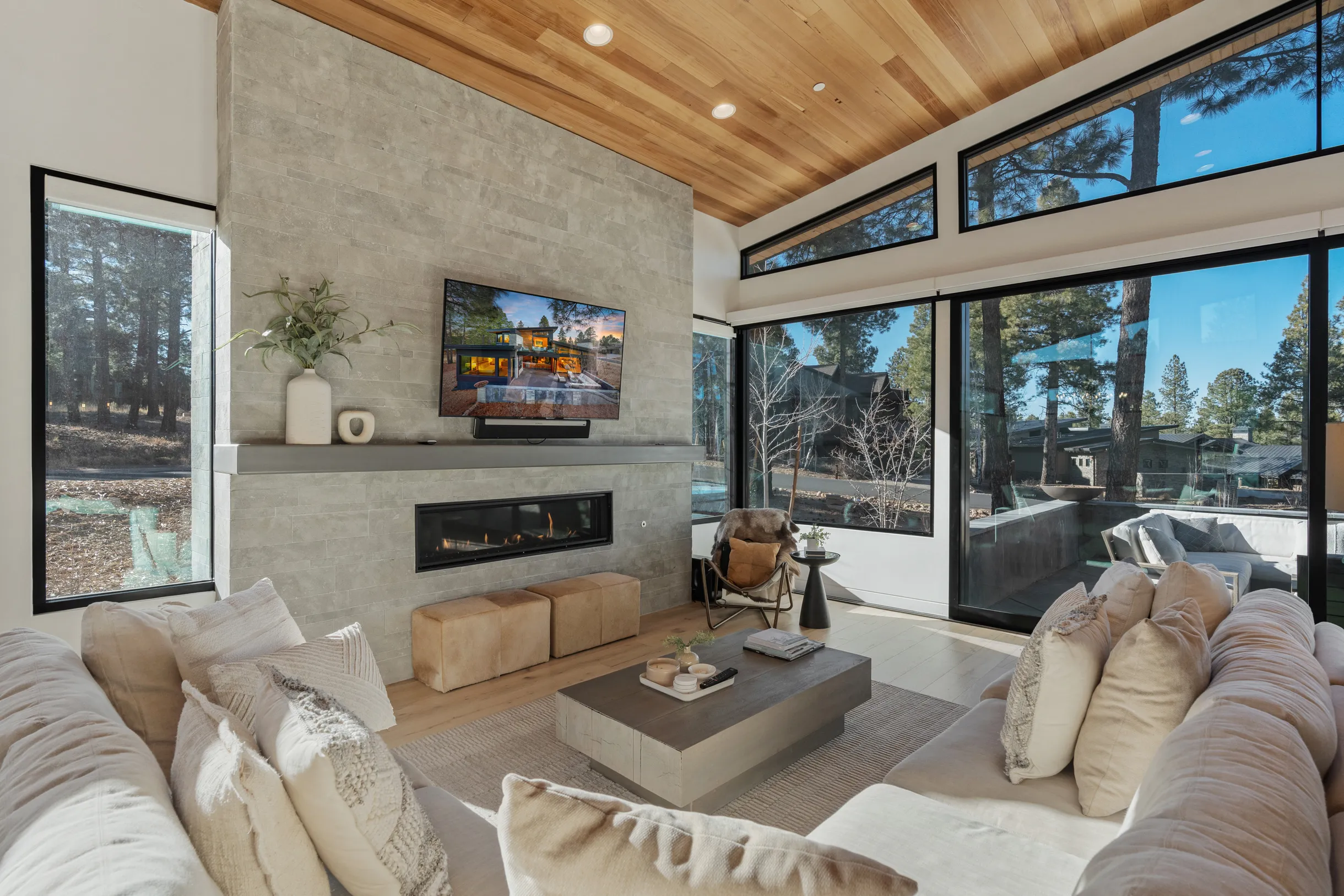 Wander Arizona Pines #23