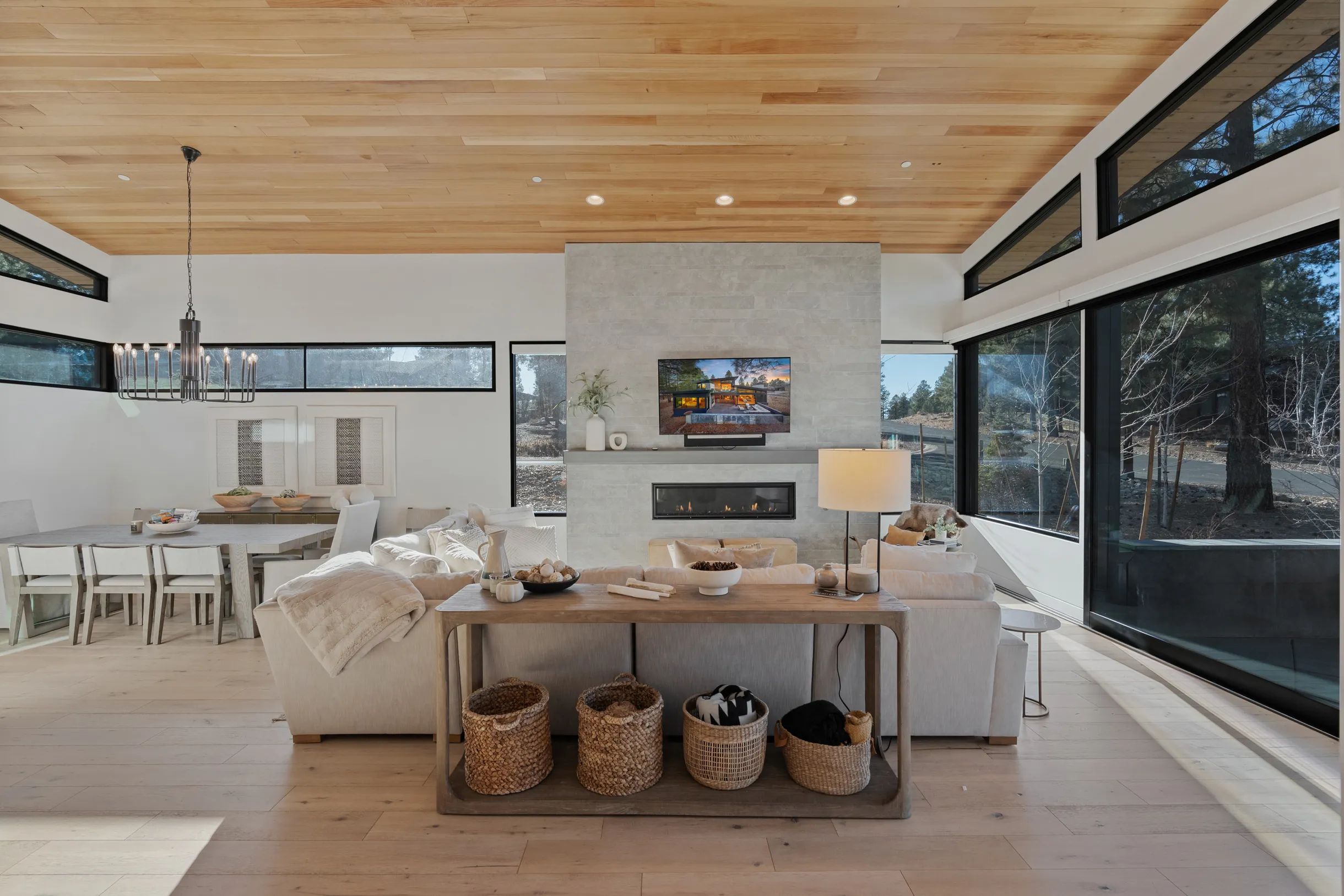 Wander Arizona Pines #8