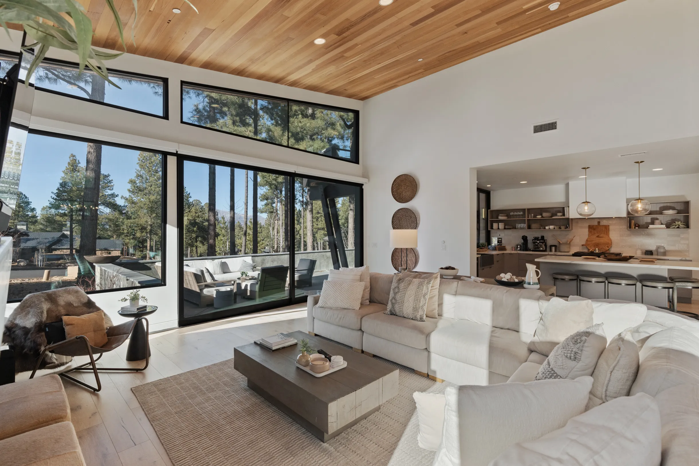 Wander Arizona Pines #39