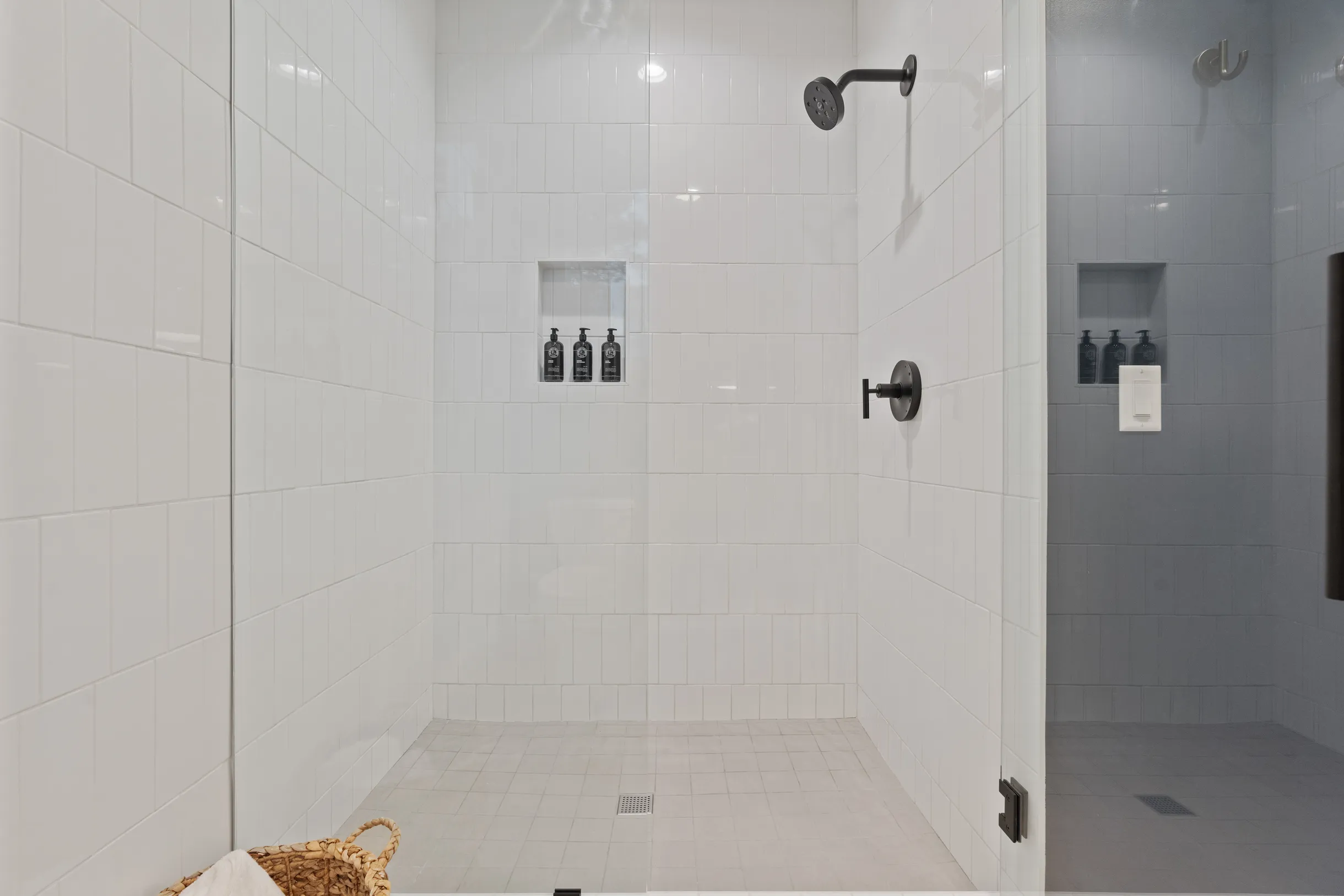 Wander Arizona Pines #33