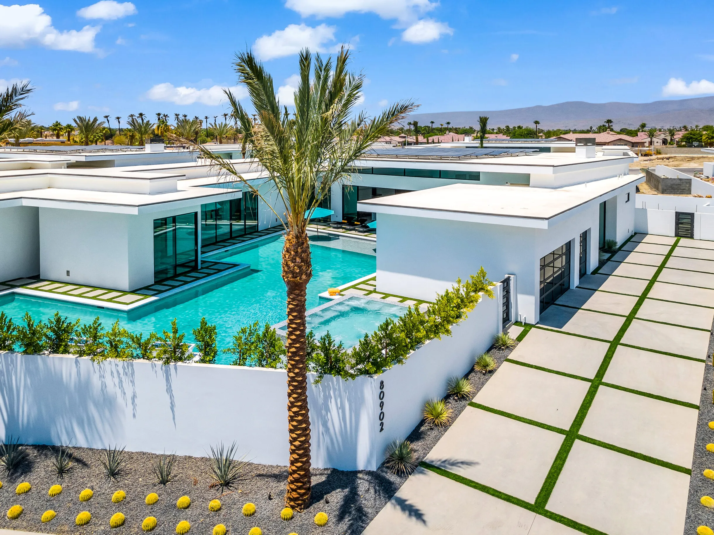 Wander Indio Terra #5