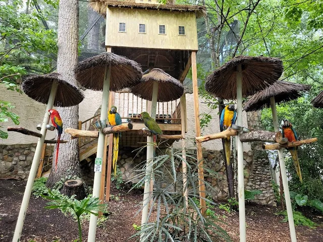 Parrot Mountain and Gardens