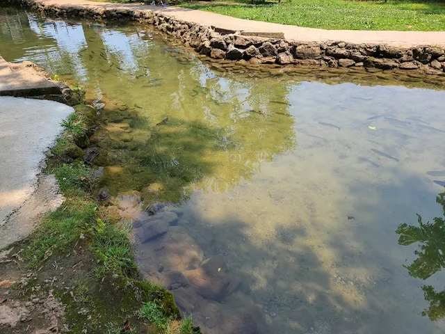 English Mountain Trout Farm