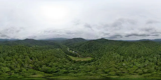 Foxfire Adventure Park