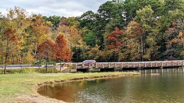 Beach Area