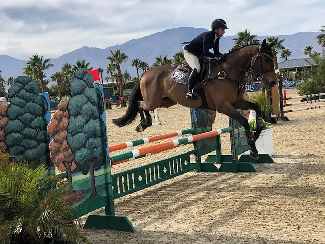 Desert International Horse Park