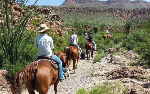 Lajitas Stables