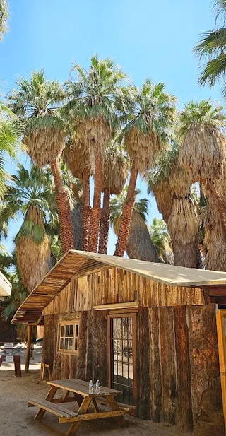 Thousand Palms Oasis Preserve