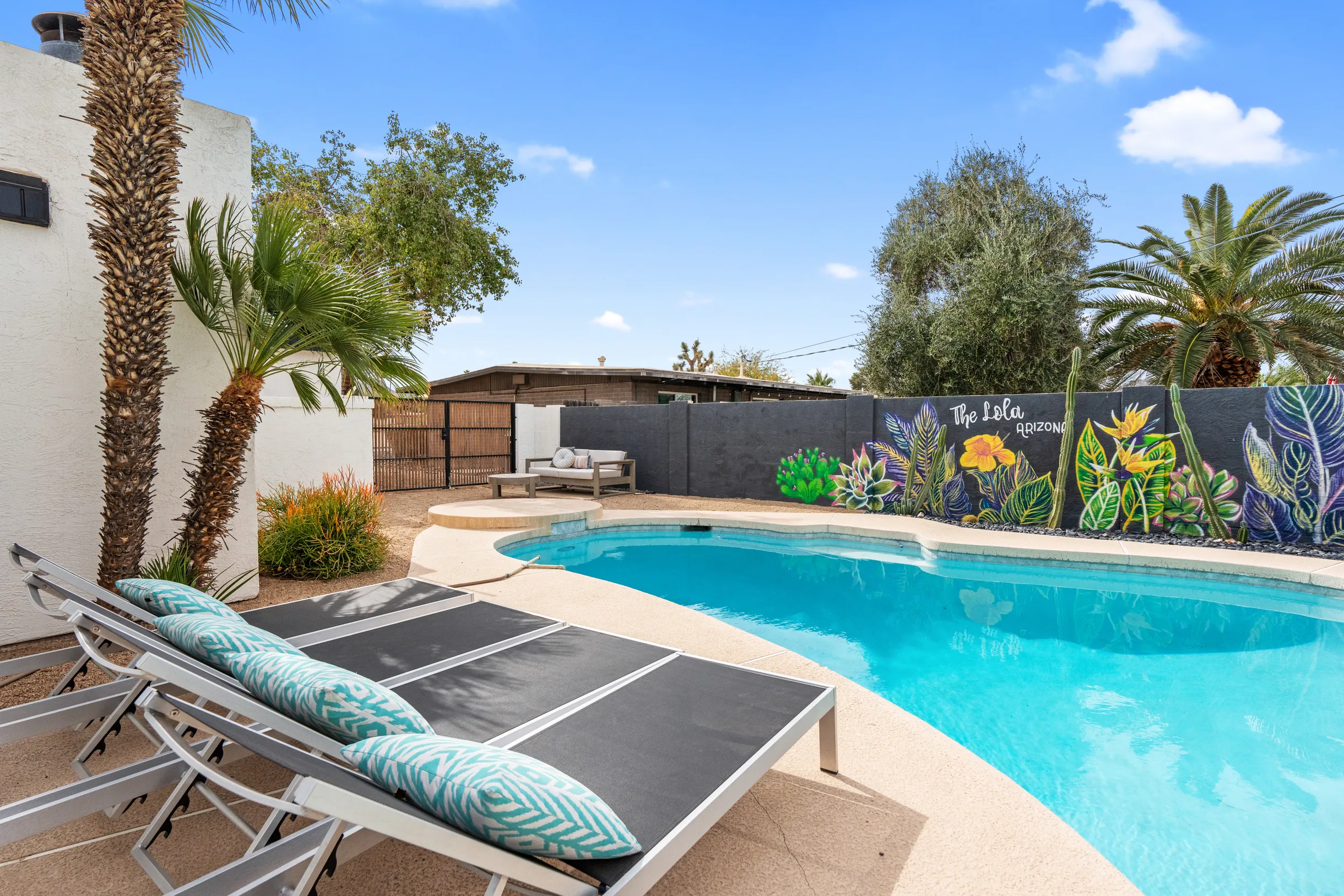 Wander Phoenix Vista #50