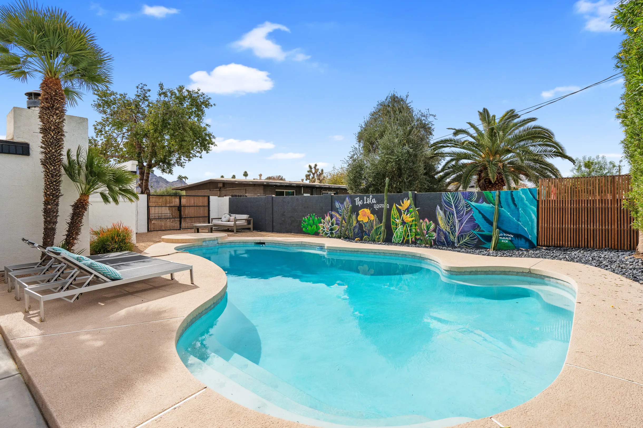 Wander Phoenix Vista #35