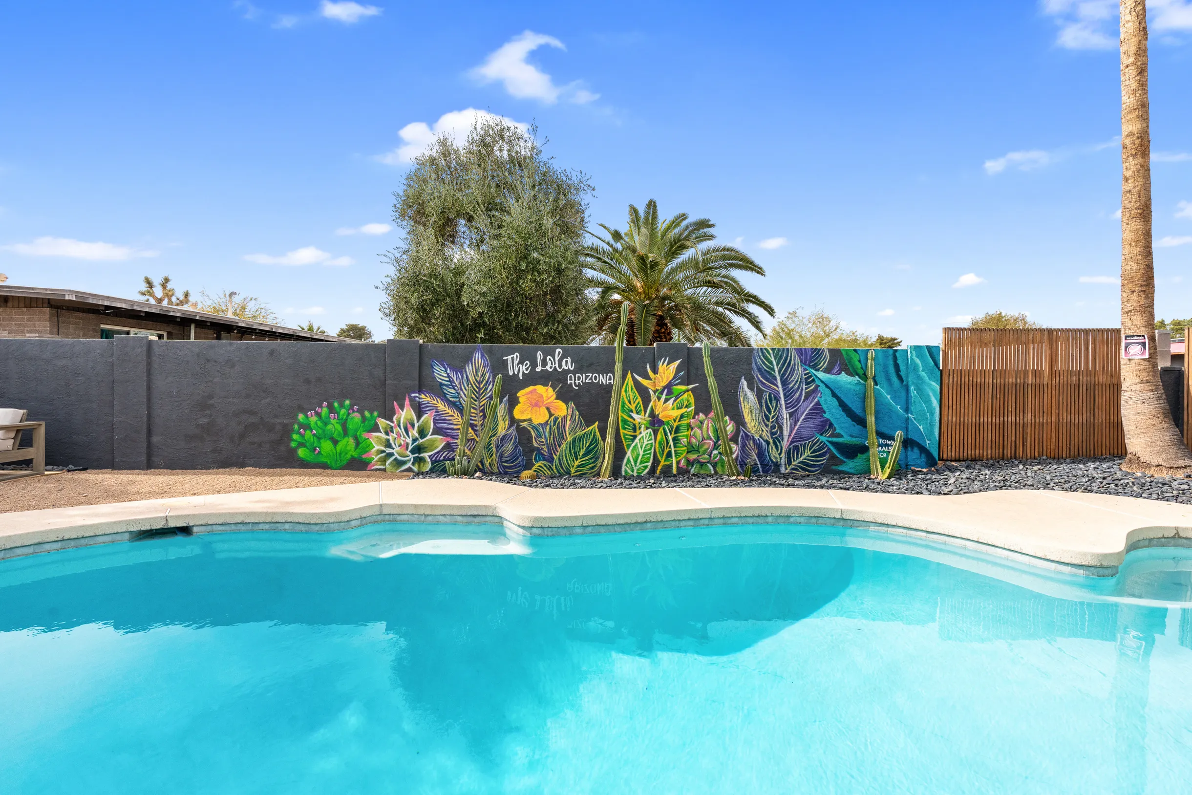 Wander Phoenix Vista #64