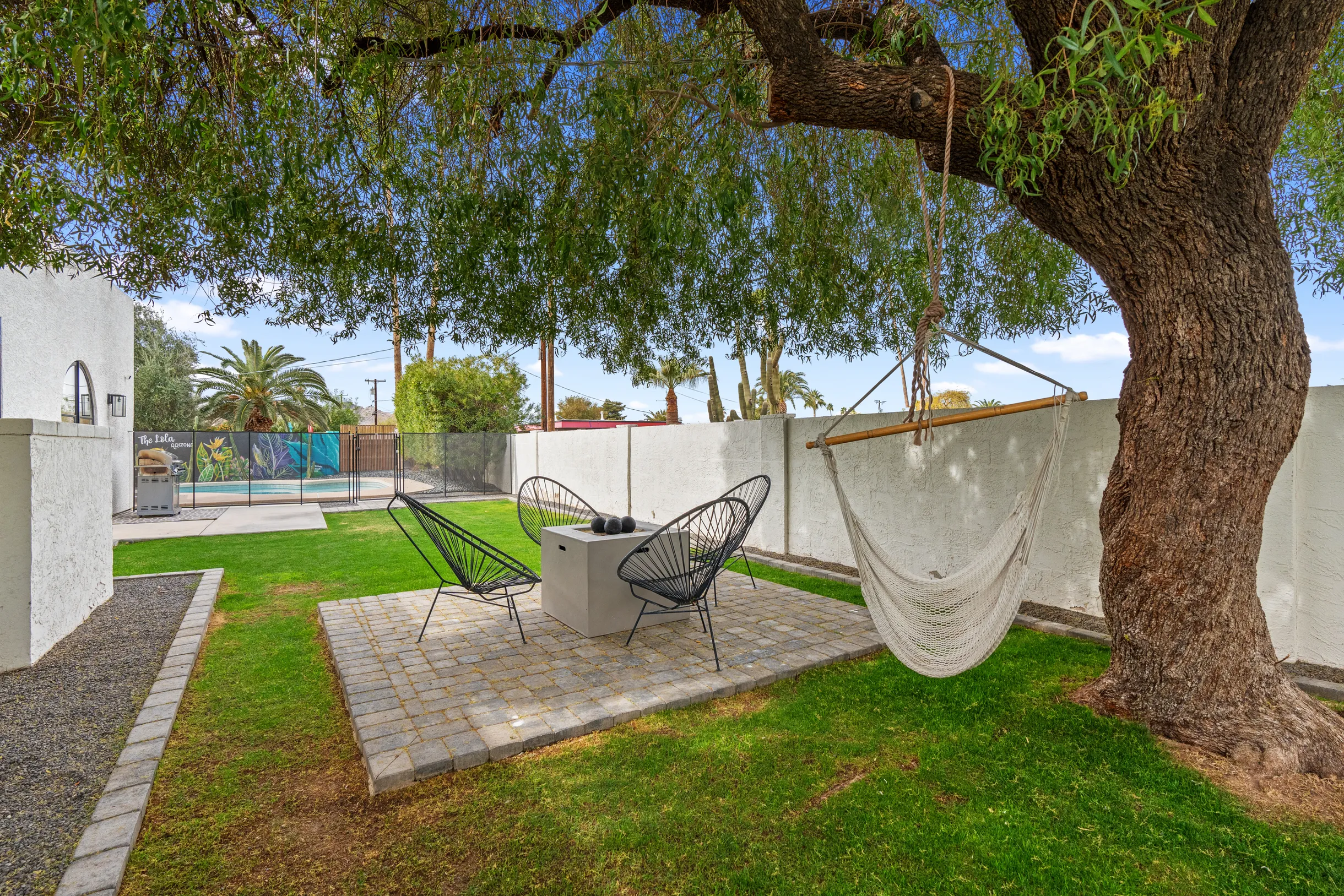 Wander Phoenix Vista #83