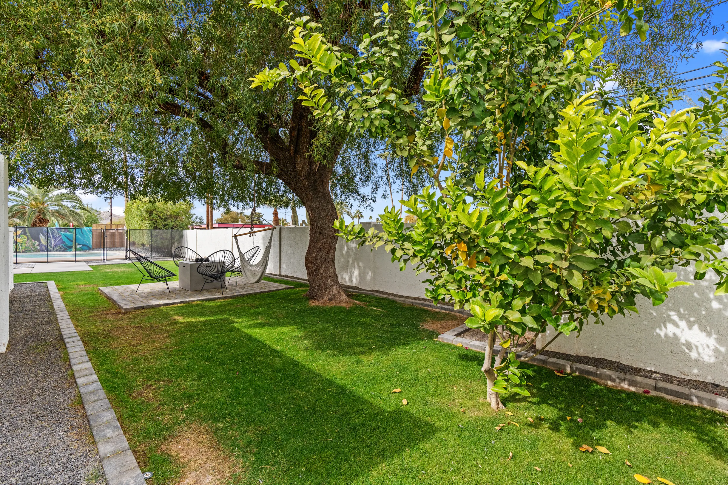 Wander Phoenix Vista #89