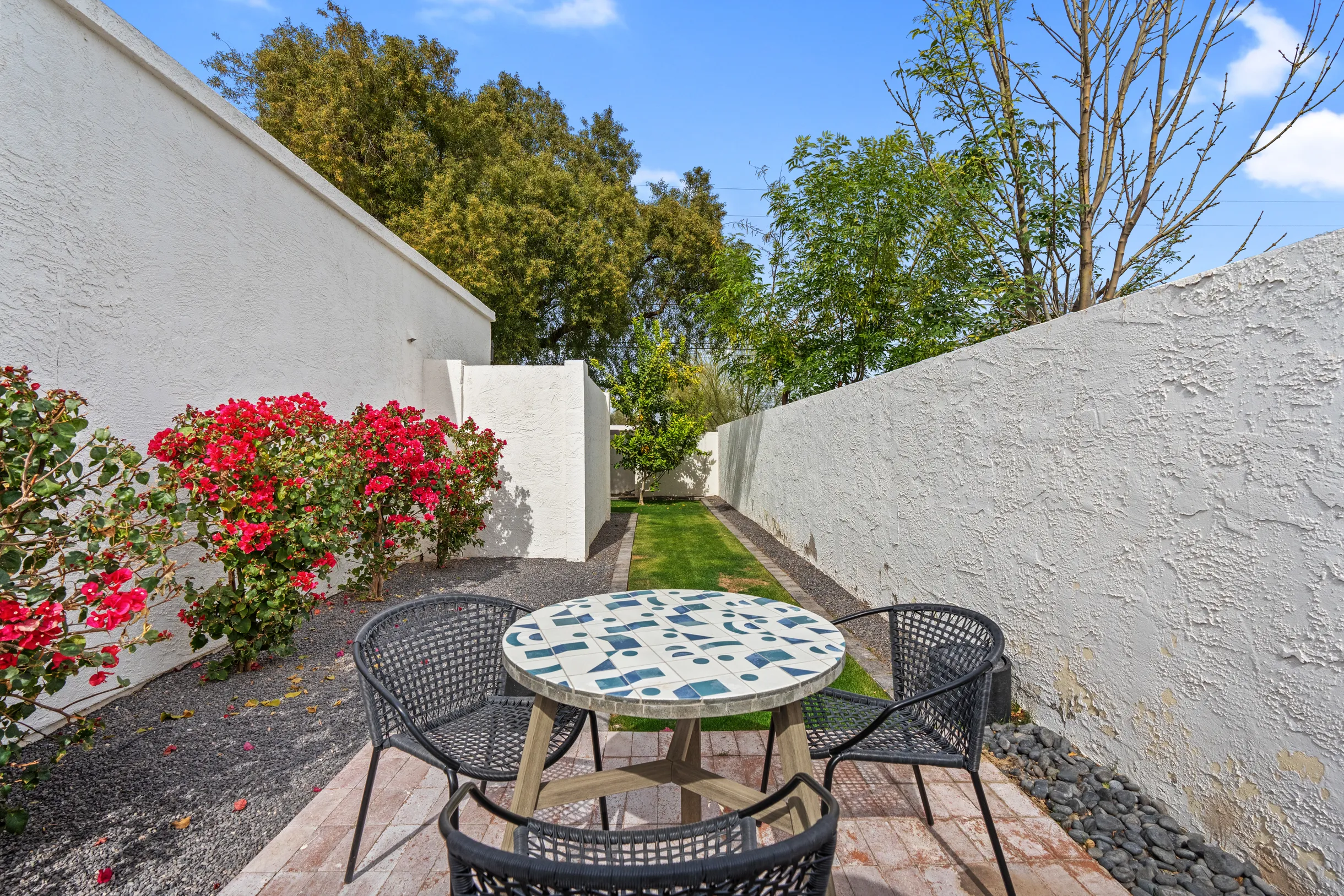 Wander Phoenix Vista #98