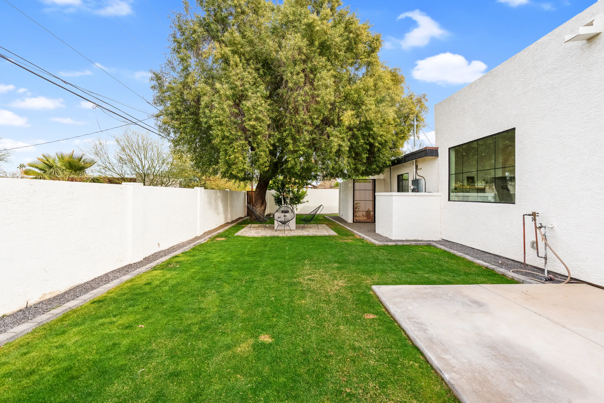 Wander Phoenix Vista #99