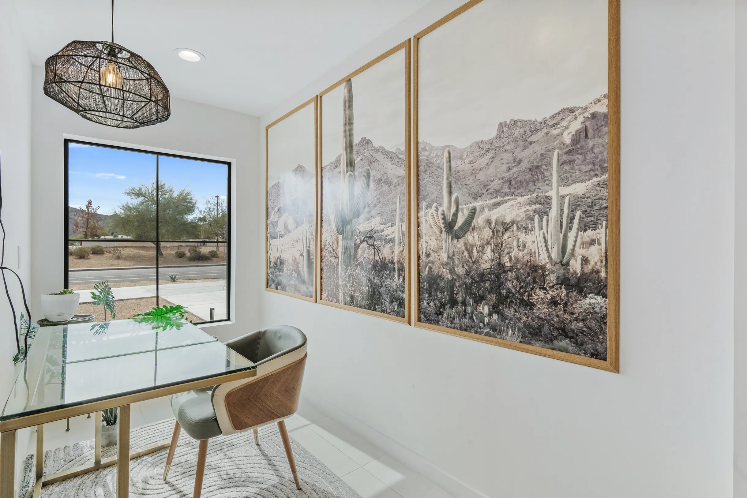 Wander Phoenix Vista #23