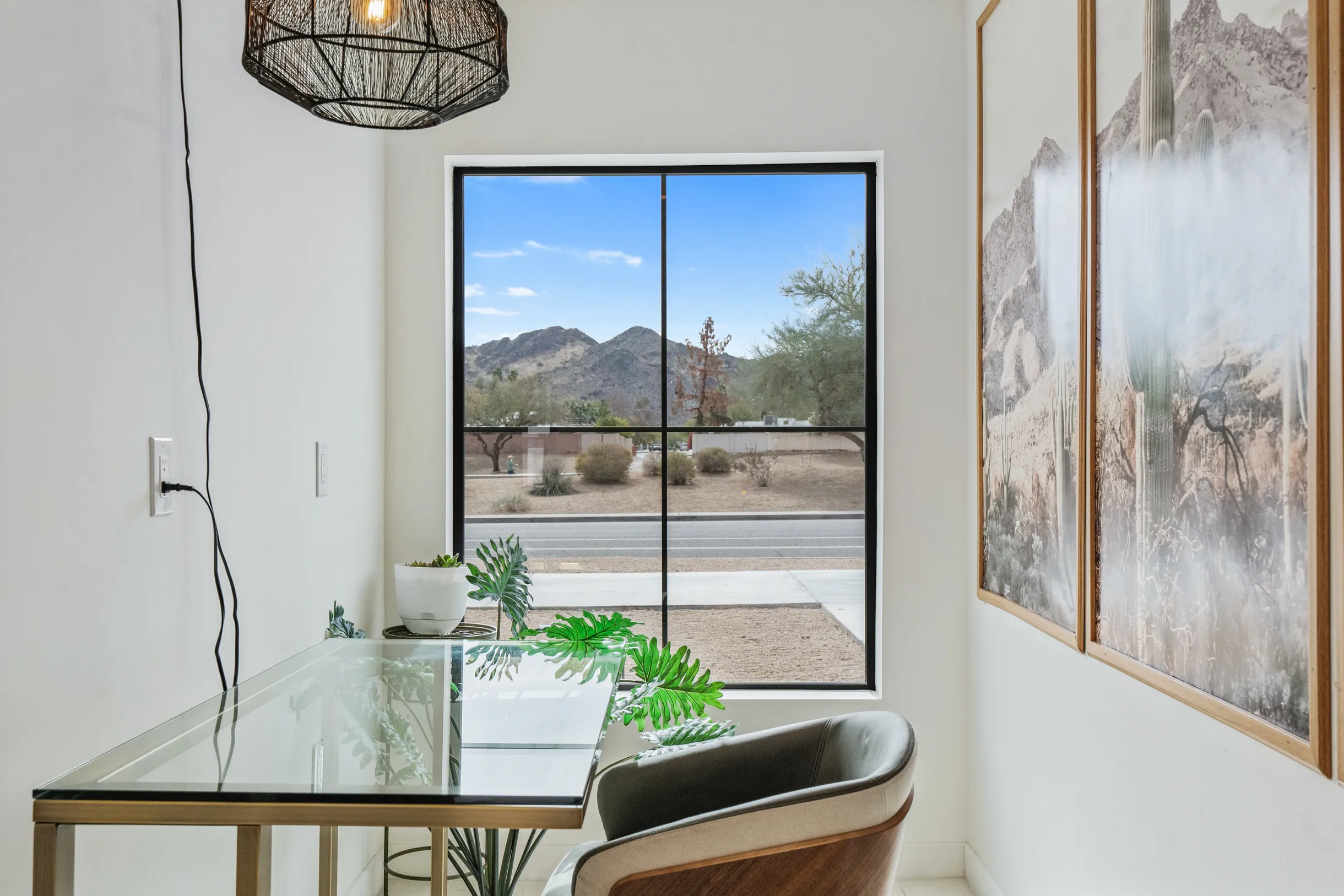 Wander Phoenix Vista #41