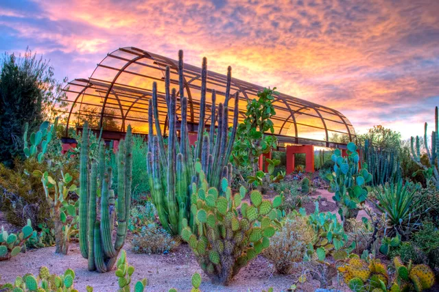 Desert Botanical Garden