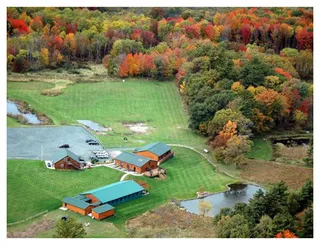 Coyland Creek