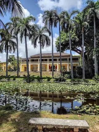 Bonnet House Museum & Gardens