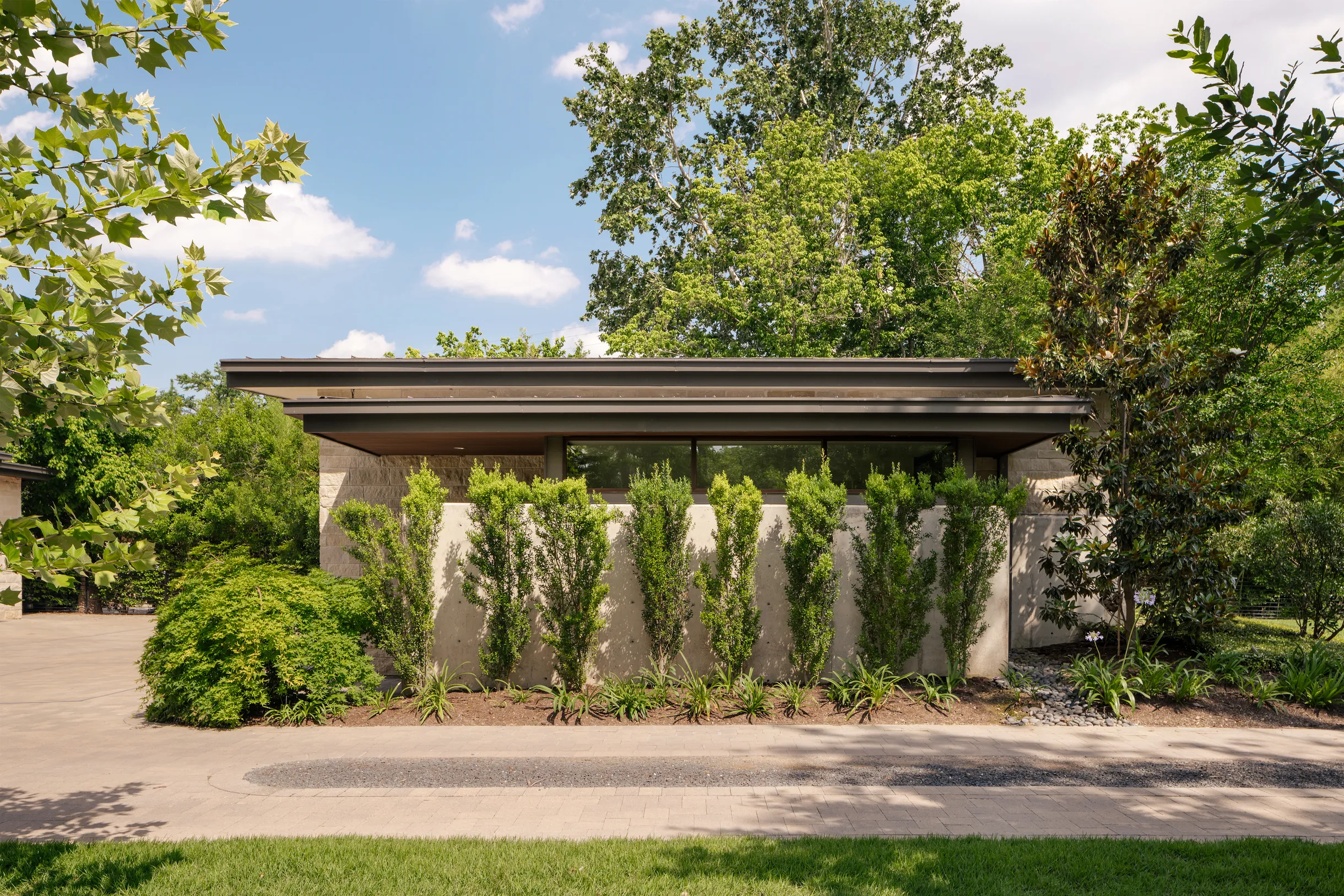 Wander Lake Austin #61