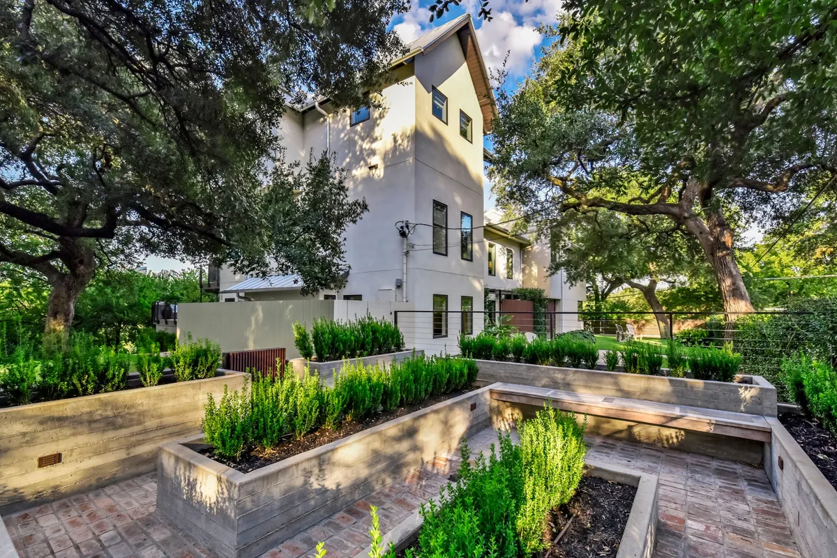 Wander Austin Capitol #53