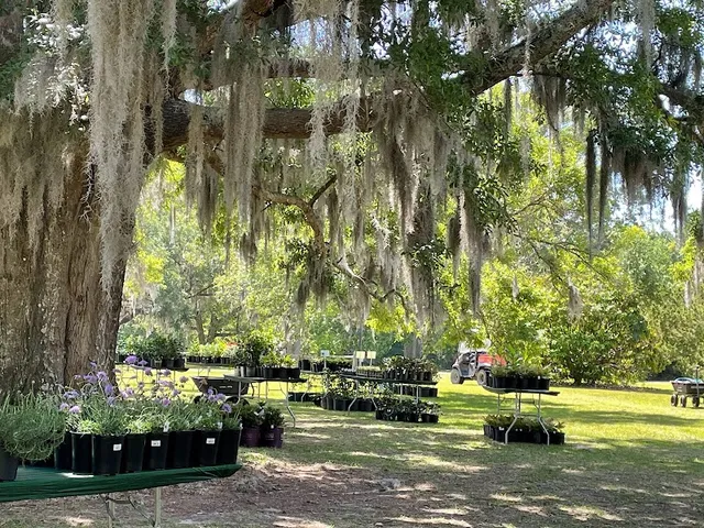 Brookgreen Gardens