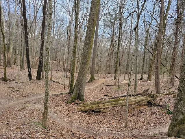 Lock 4 Mountain Bike Trailhead