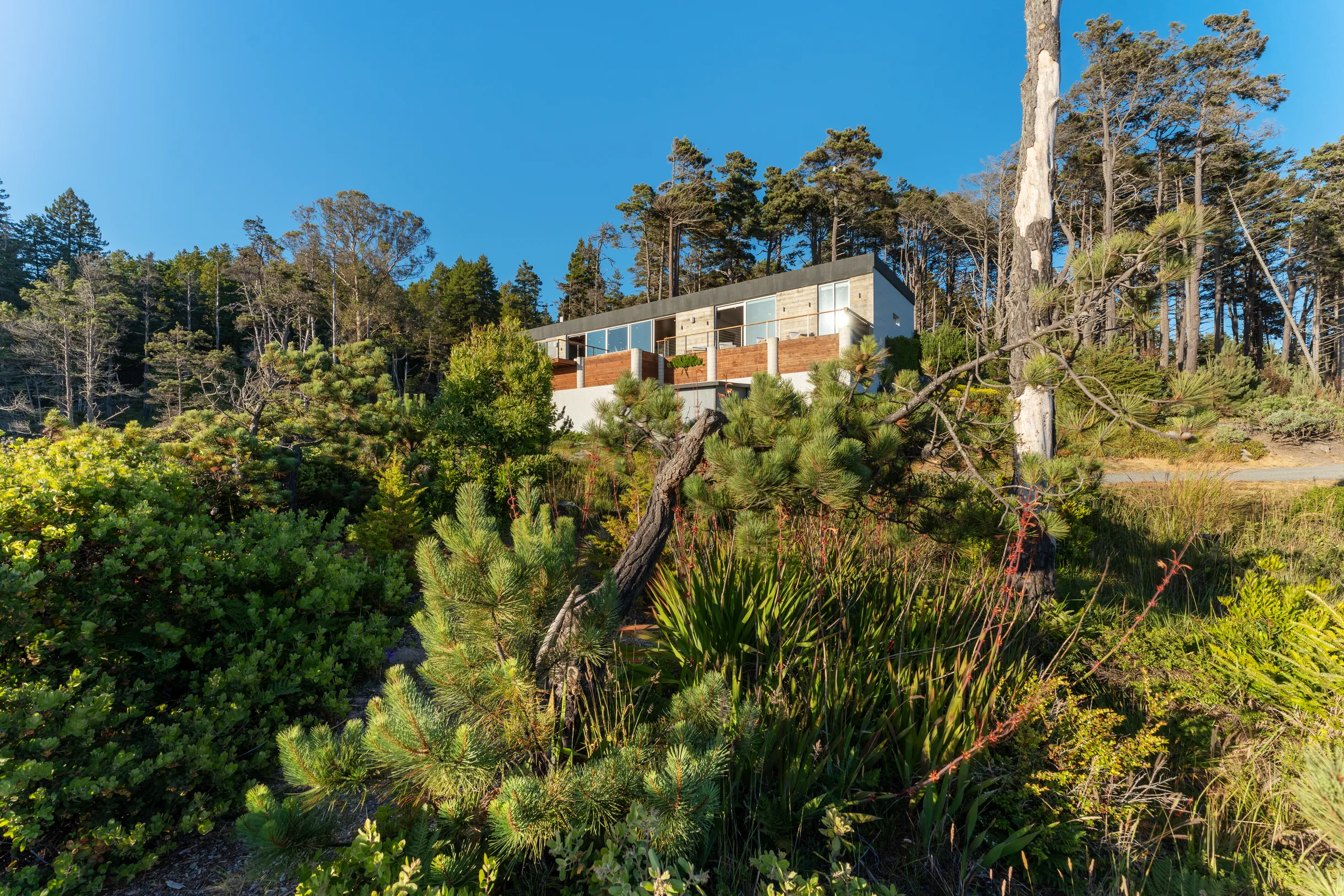 Wander Anchor Cove #38