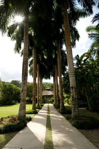 Cranbrook Flower Forest
