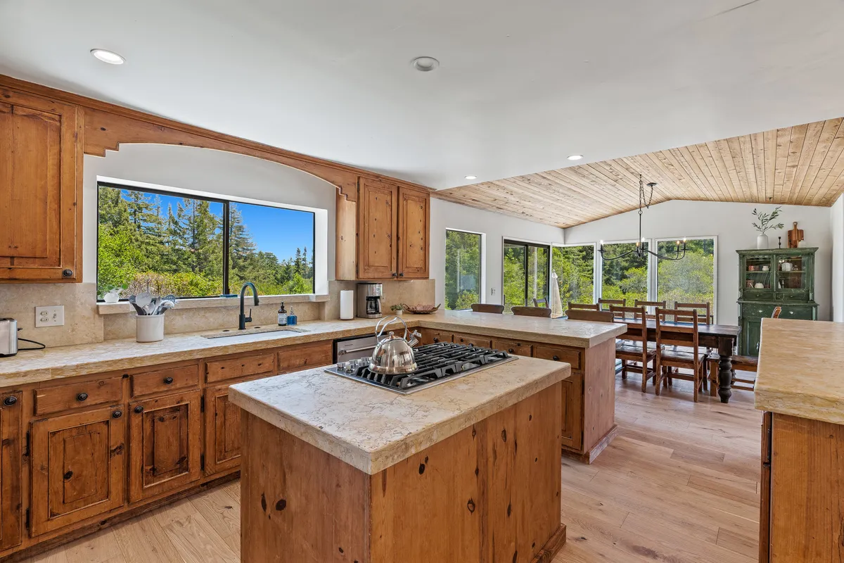 Wander Aptos Forest #37