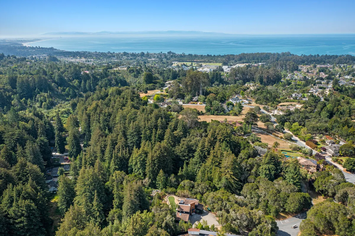 Wander Aptos Forest #46