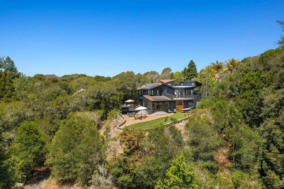 Wander Aptos Forest #43