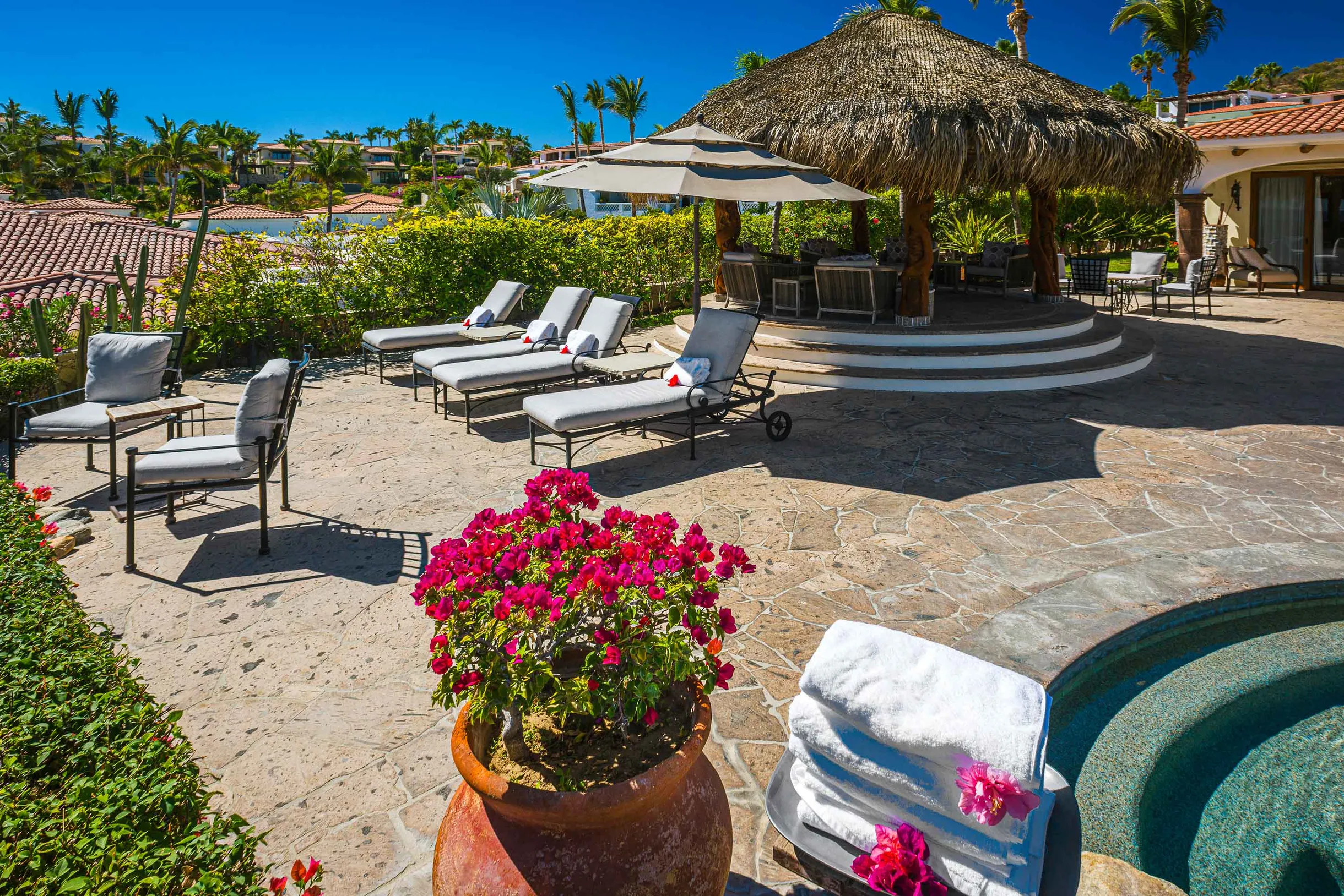 Wander Cabo Oasis #27