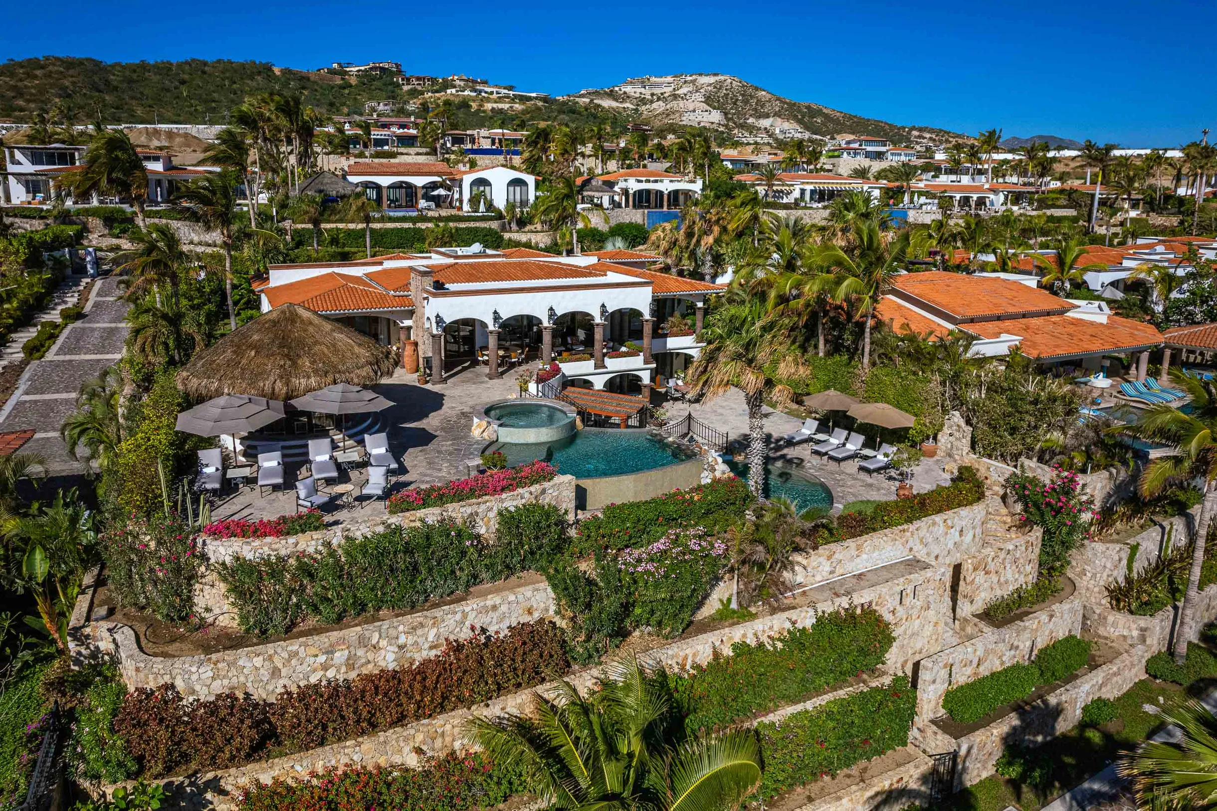 Wander Cabo Oasis #31