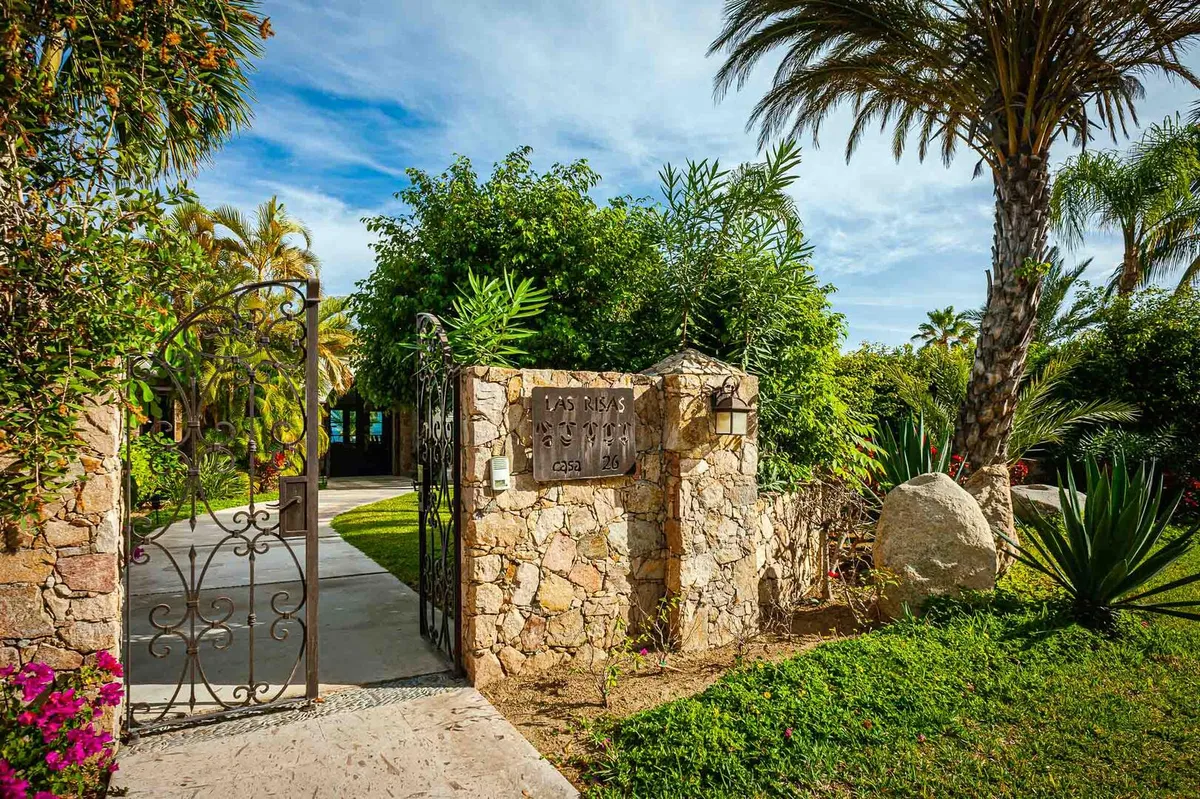 Wander Cabo Horizon #24