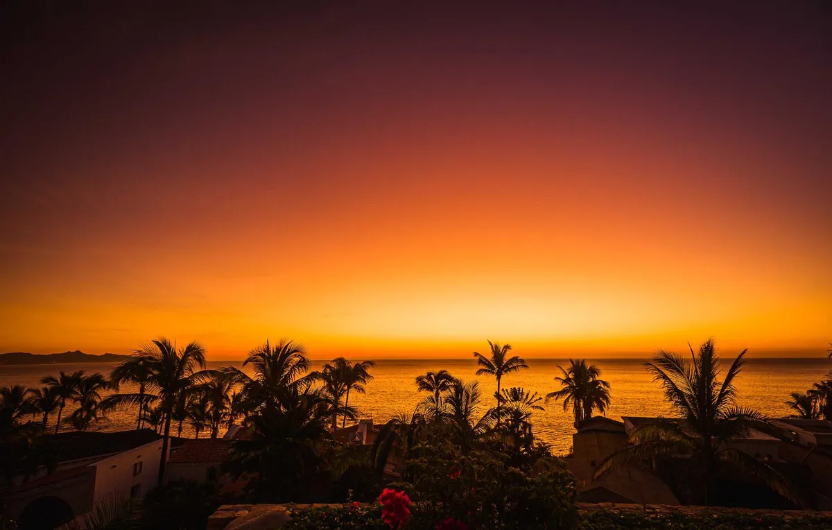 Wander Cabo Oasis #38