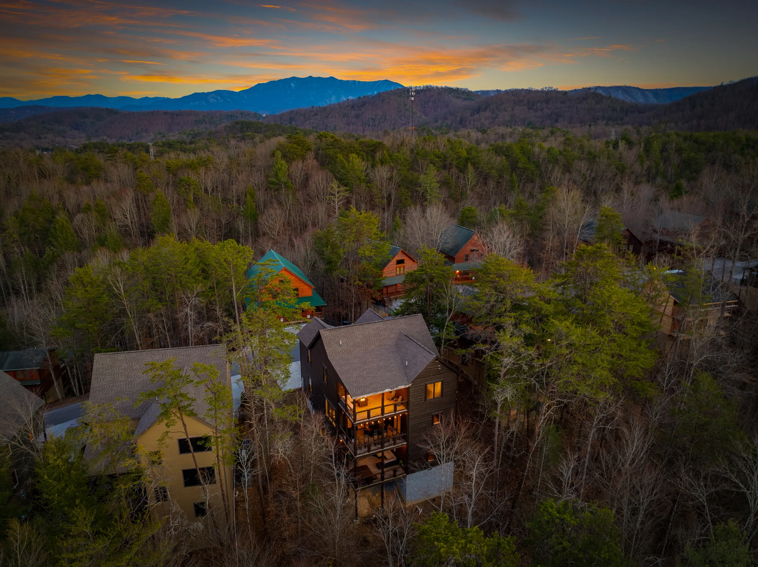 Wander Smoky Woods #83