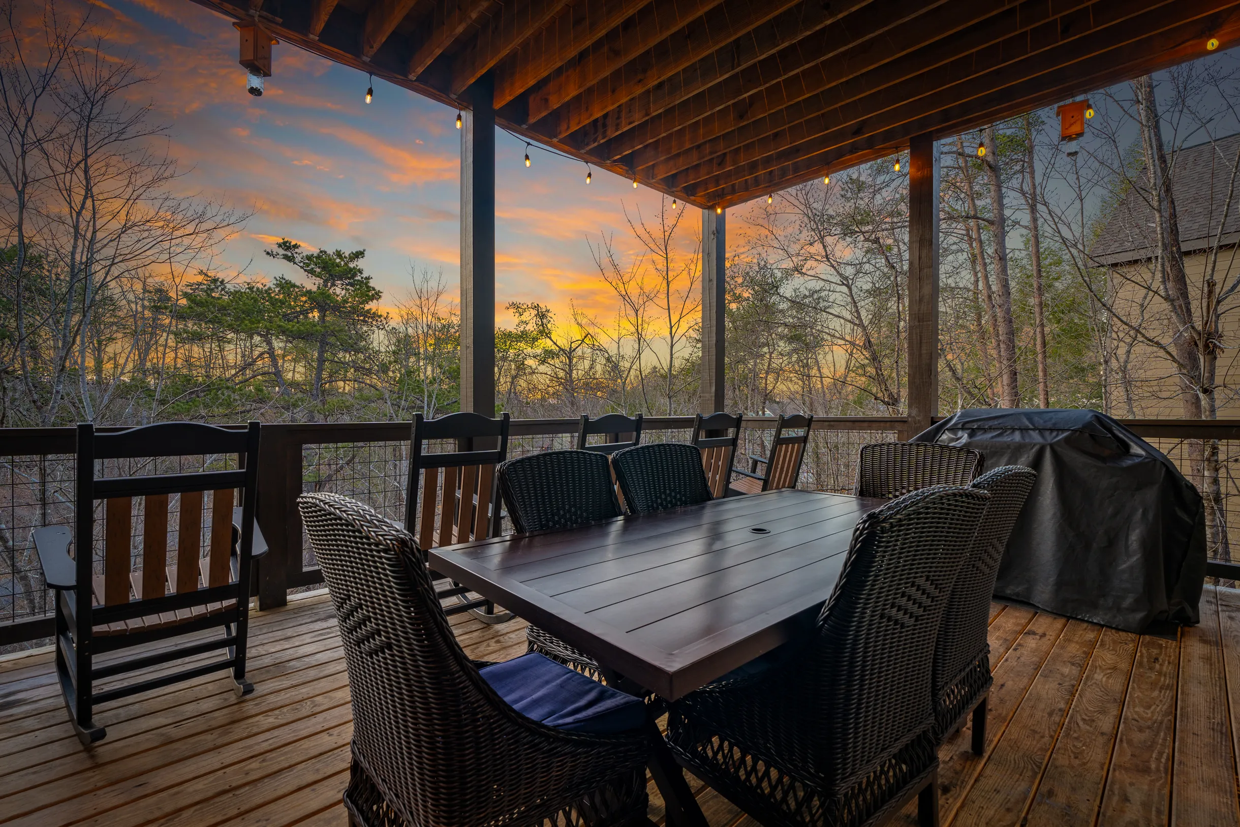 Wander Smoky Woods #7