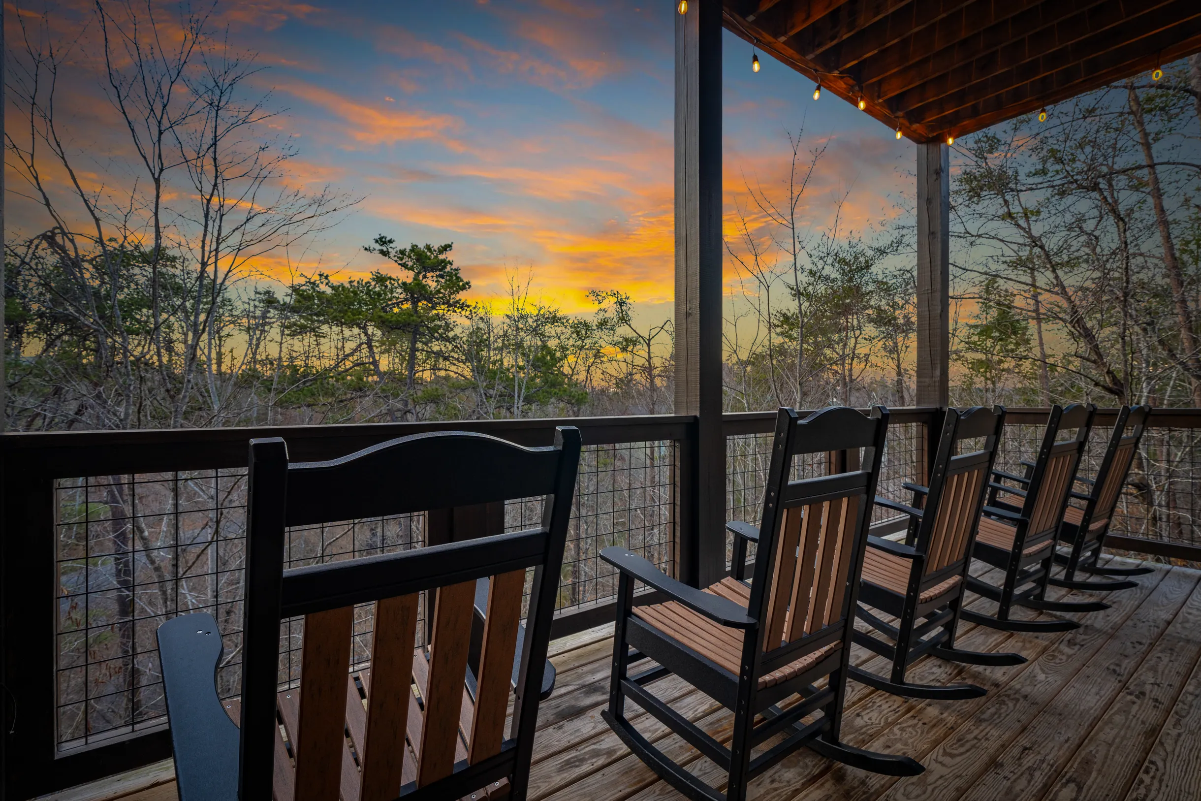 Wander Smoky Woods #25