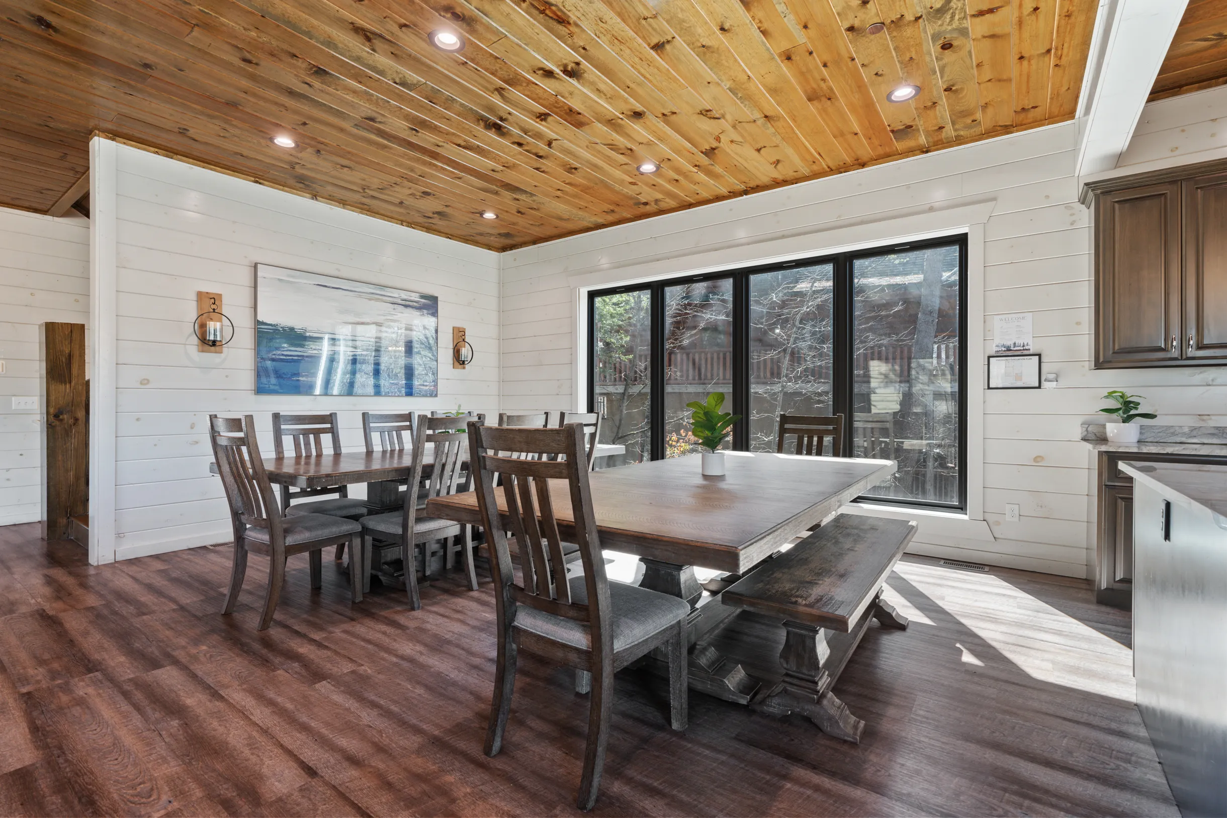 Wander Smoky Woods #47