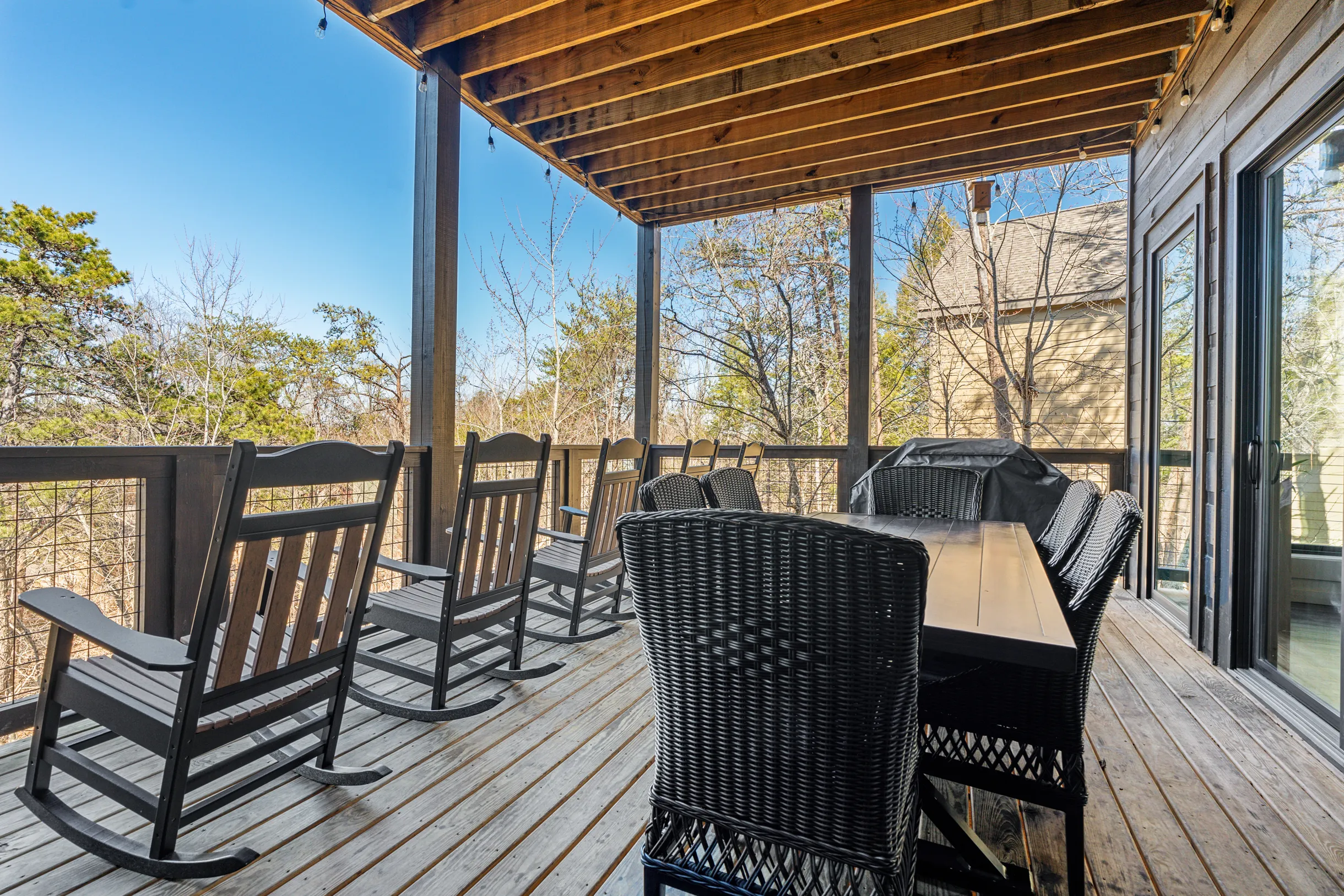 Wander Smoky Woods #11