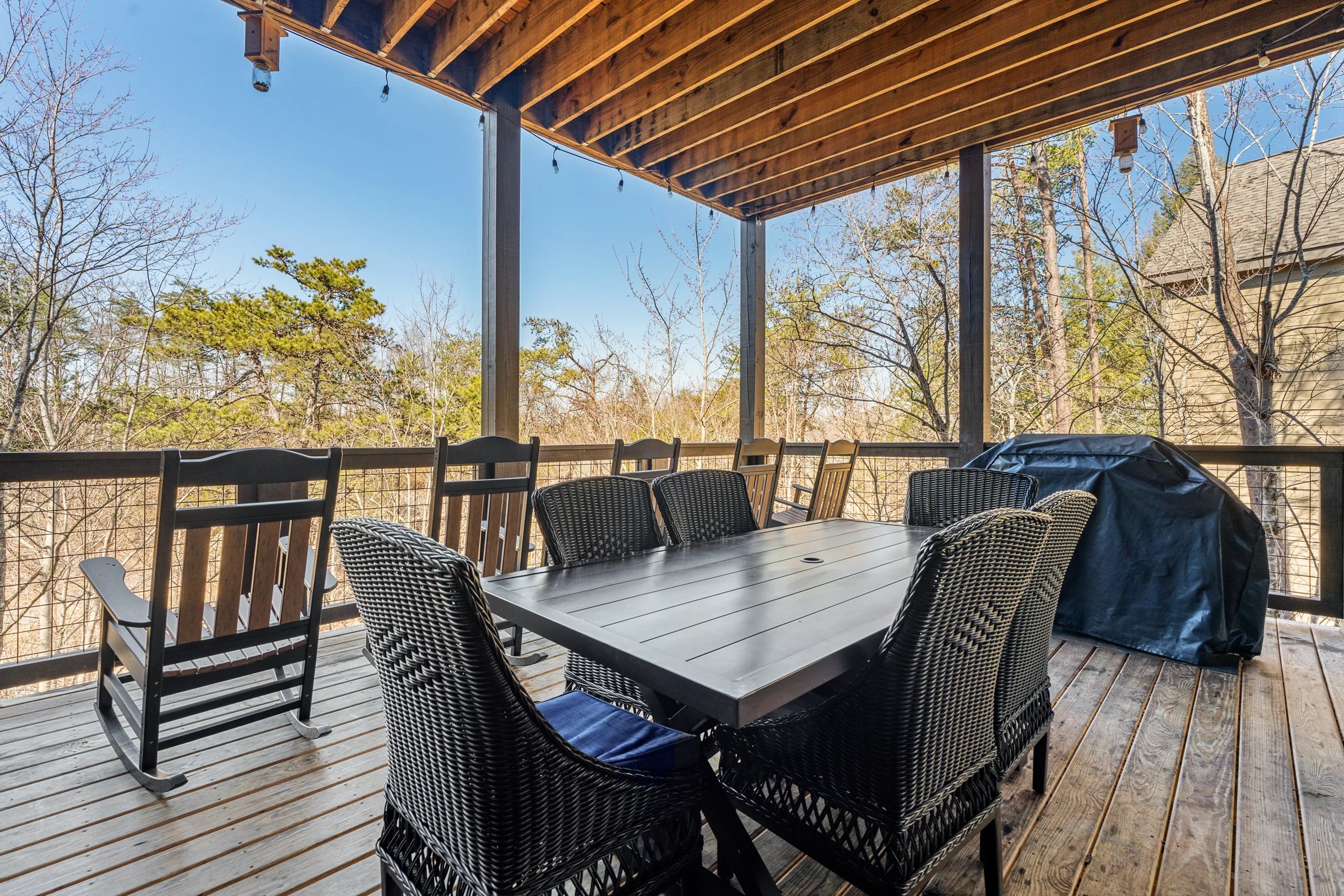 Wander Smoky Woods #29