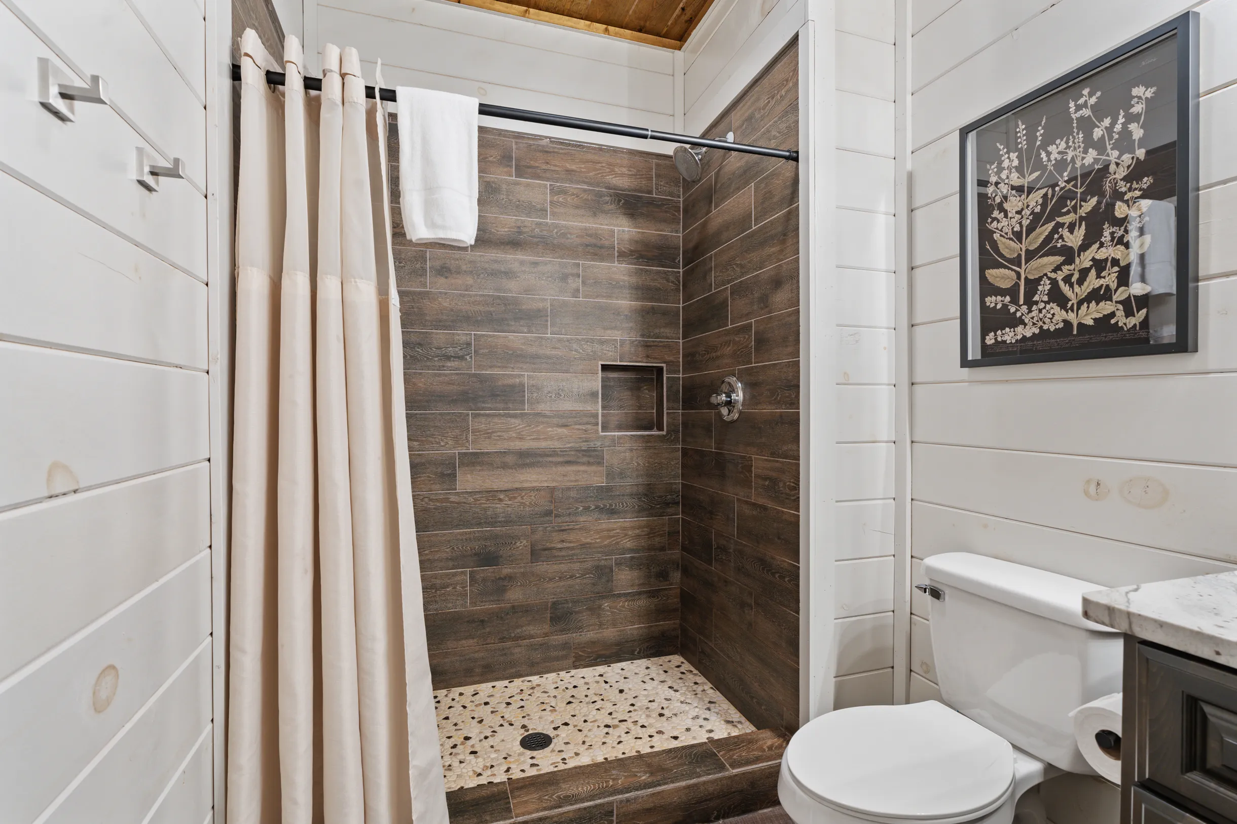 Wander Smoky Woods #51