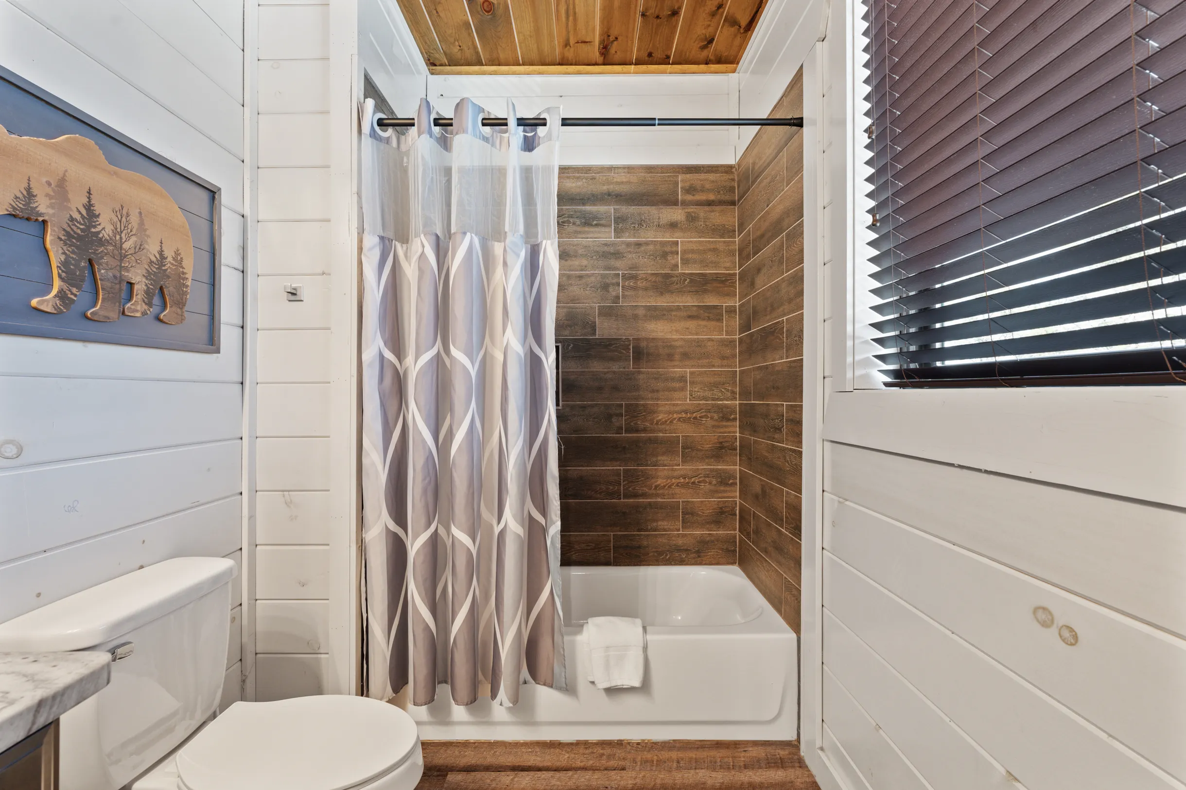 Wander Smoky Woods #55